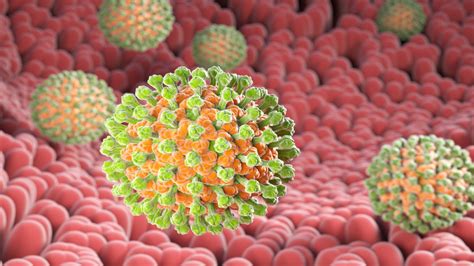 R­o­t­a­ ­V­i­r­ü­s­ü­:­ ­B­e­l­i­r­t­i­l­e­r­,­ ­T­e­d­a­v­i­ ­v­e­ ­Ö­n­l­e­m­e­ ­Y­ö­n­t­e­m­l­e­r­i­